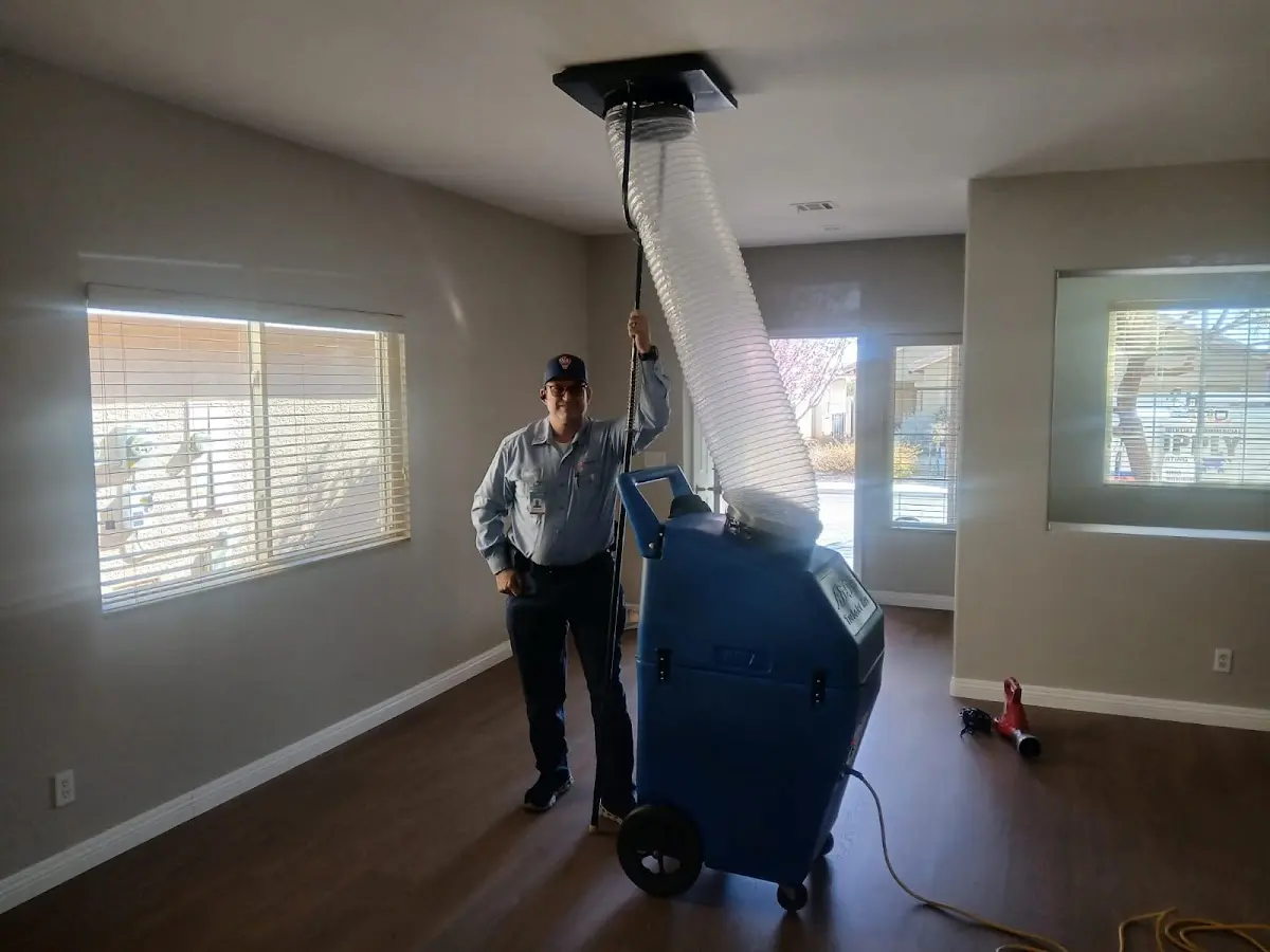 Professional Dryer Vent Cleaning work inside a Long View home